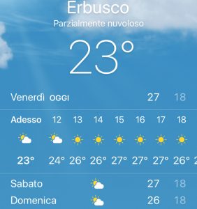 Meteo Erbusco