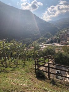 Vista Valle